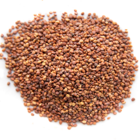 Radish Sprouting Mix