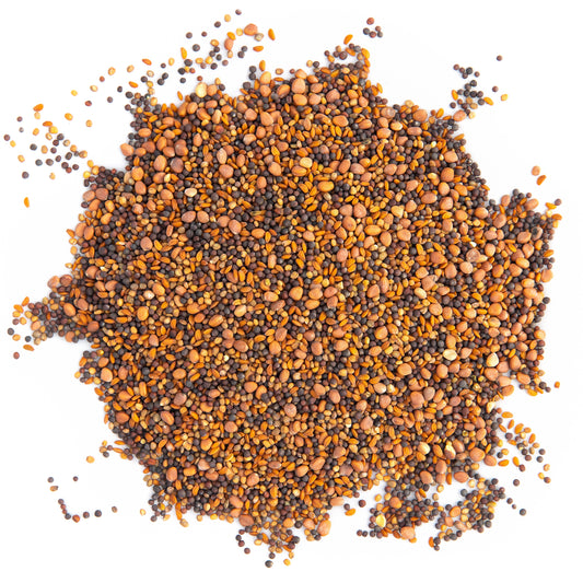 Sunshine Coast Sprouting Mix